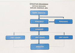 Struktur Organisasi